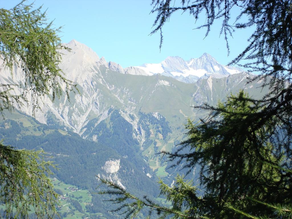 Apartments Poetscher Matrei in Osttirol Extérieur photo
